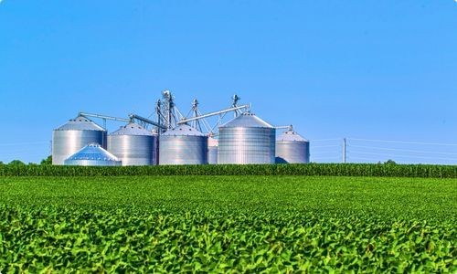 Agronegócio e setor rural