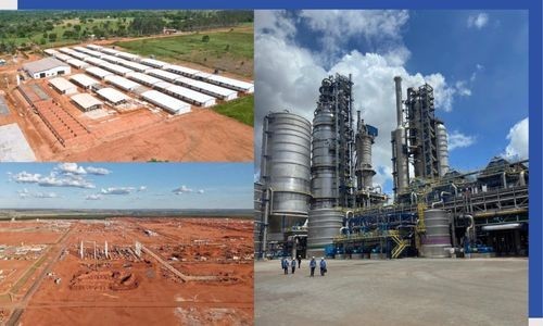 12 anos de experiência